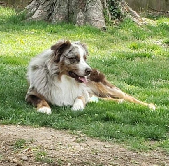 Meet your Posher, Jim - Picture 1 of 1